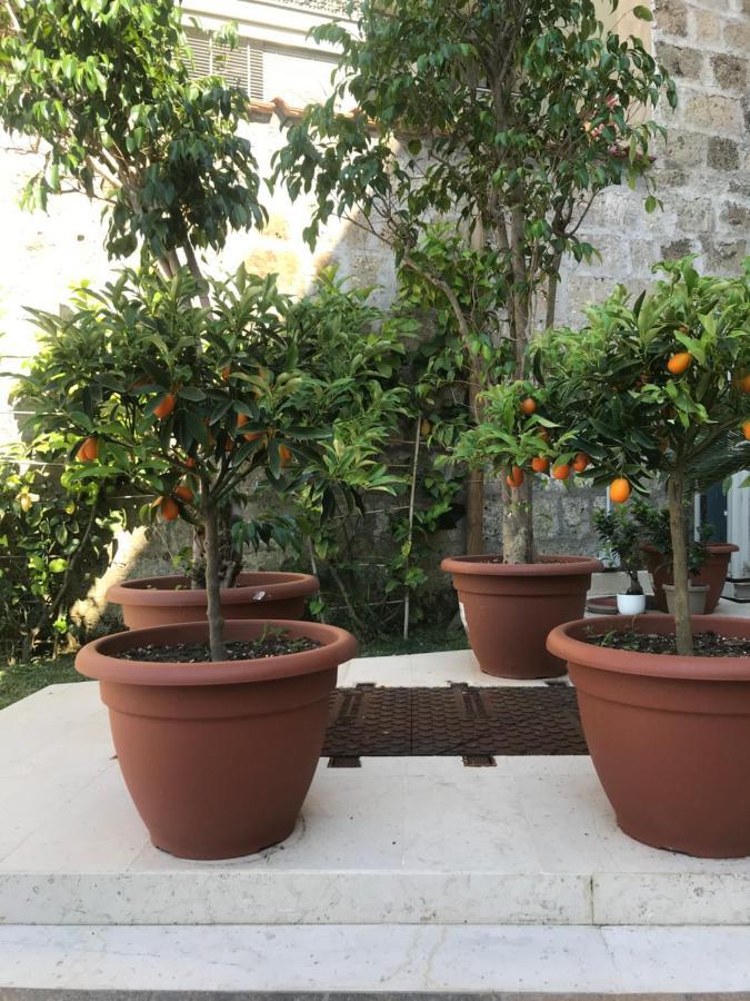 Il Cavaliere Bed And Breakfast Caserta Exterior photo